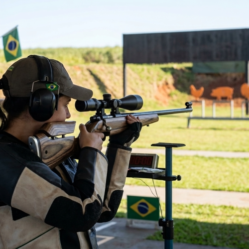 Silhueta Metálica Smallbore